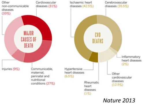 NTU研发革命性AI工具 基于先进理论与算法，赋能心电图精准解读